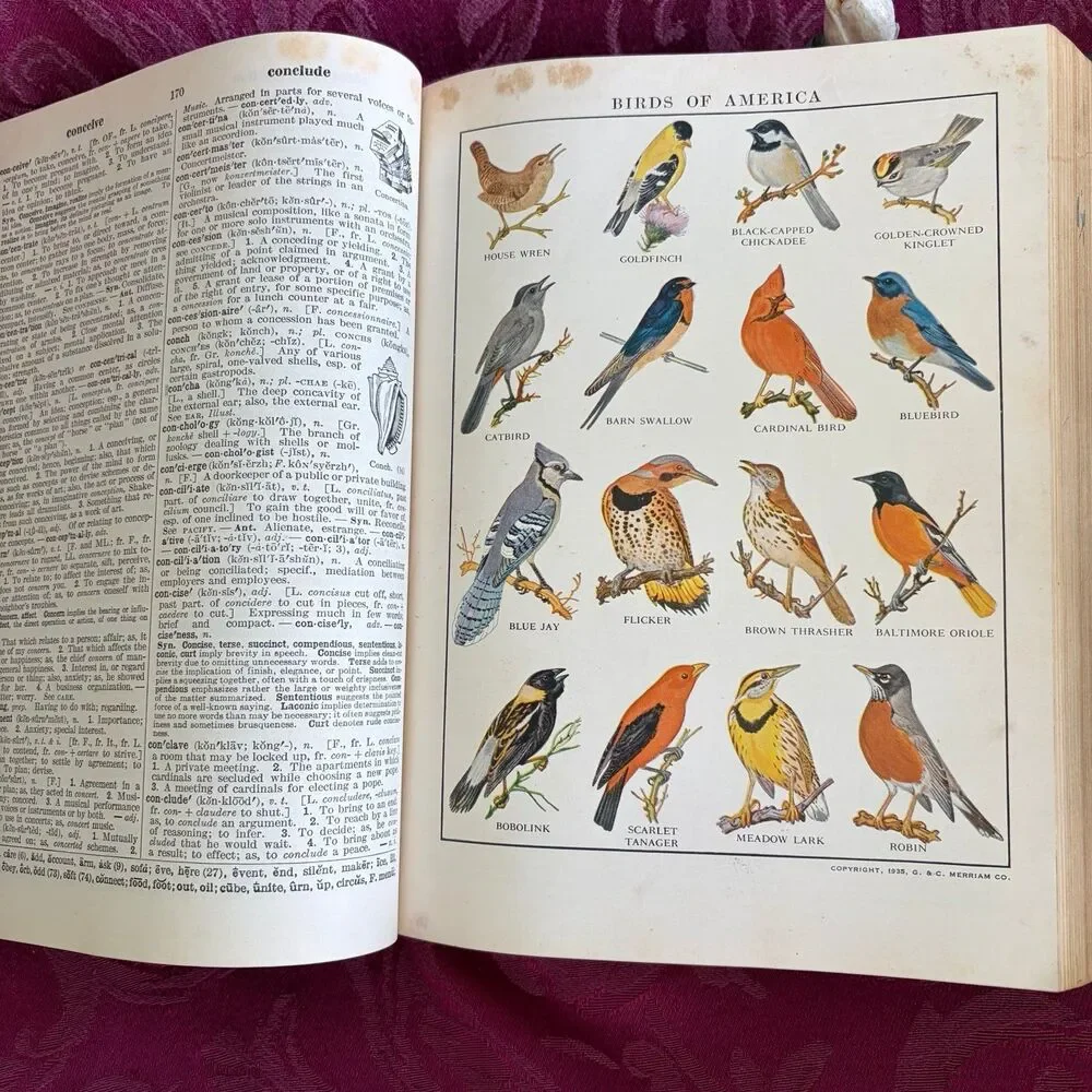1956 Webster's Students Dictionary, Vintage Dictionary, American Book Company